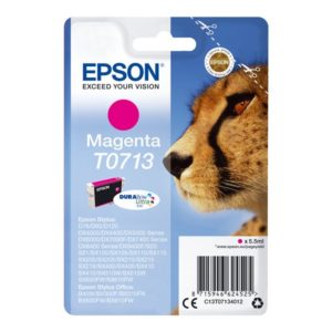Epson T0713 - Print cartridge - 1 x magenta