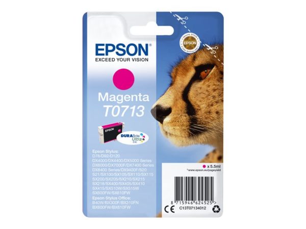 Epson T0713 - Print cartridge - 1 x magenta